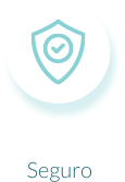 Seguro